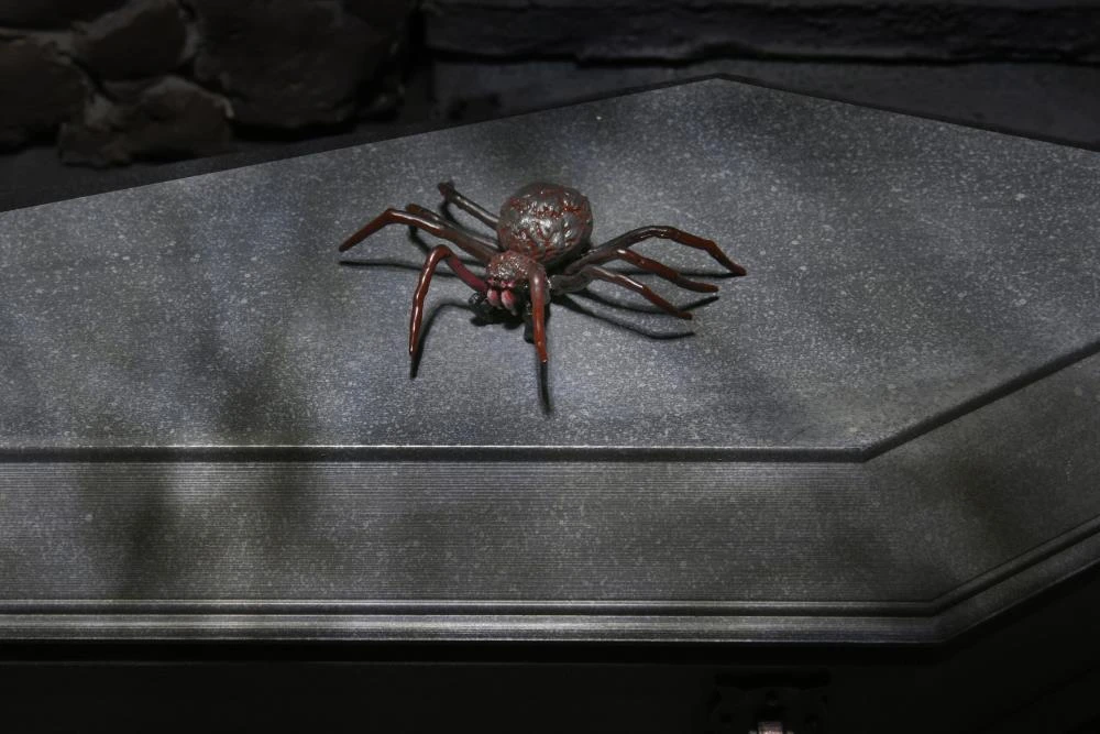 NECA Universal Monsters Dracula Accessory Set 8 NECA Universal Monsters Dracula Accessory Set - Image 8