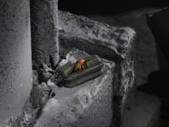 NECA Universal Monsters Dracula Accessory Set 15 NECA Universal Monsters Dracula Accessory Set -Model Figurine Toy Store 71aad24a 9cbc 48ed 816a d2200b524e60