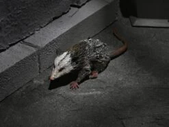 NECA Universal Monsters Dracula Accessory Set 17 NECA Universal Monsters Dracula Accessory Set -Model Figurine Toy Store 7a9d828e 2595 485a b580 069b910bcdb8