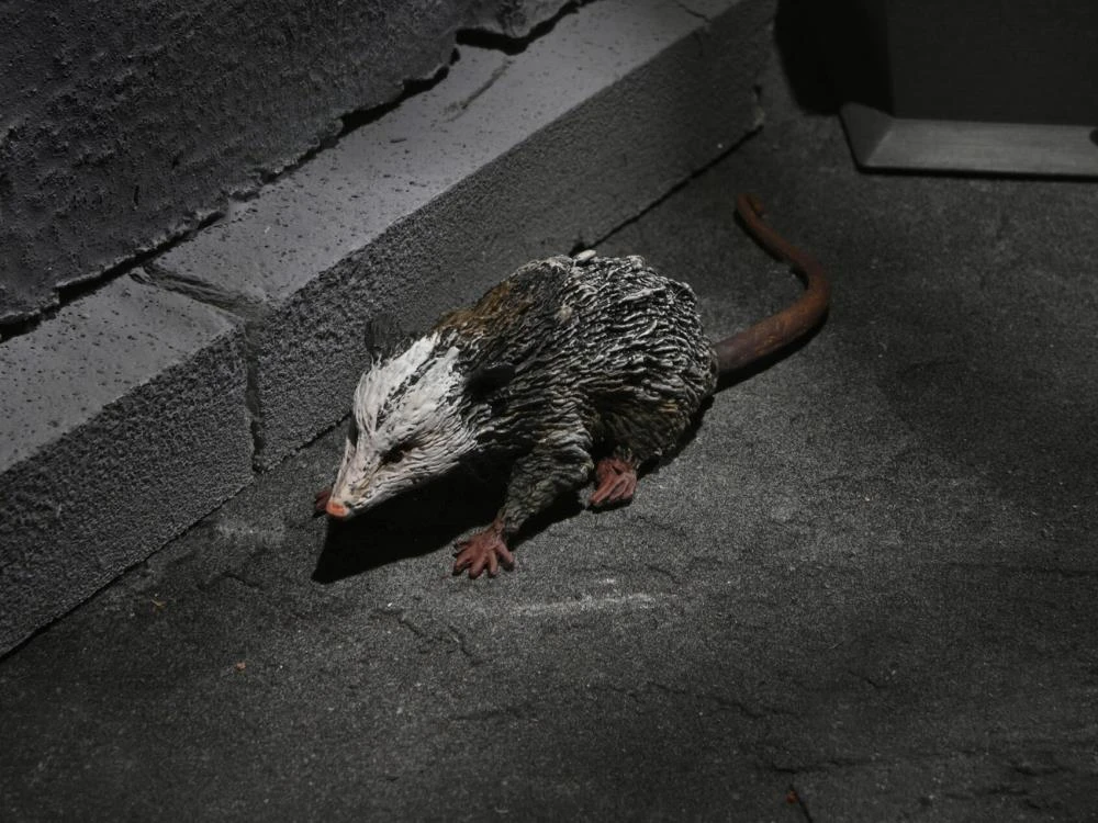 NECA Universal Monsters Dracula Accessory Set 9 NECA Universal Monsters Dracula Accessory Set - Image 9