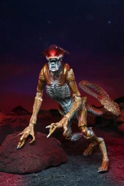 7″ NECA Scale Action Figure – Kenner Tribute Ultimate Panther Alien 7 7″ NECA Scale Action Figure – Kenner Tribute Ultimate Panther Alien -Model Figurine Toy Store Panther5 scaled 1