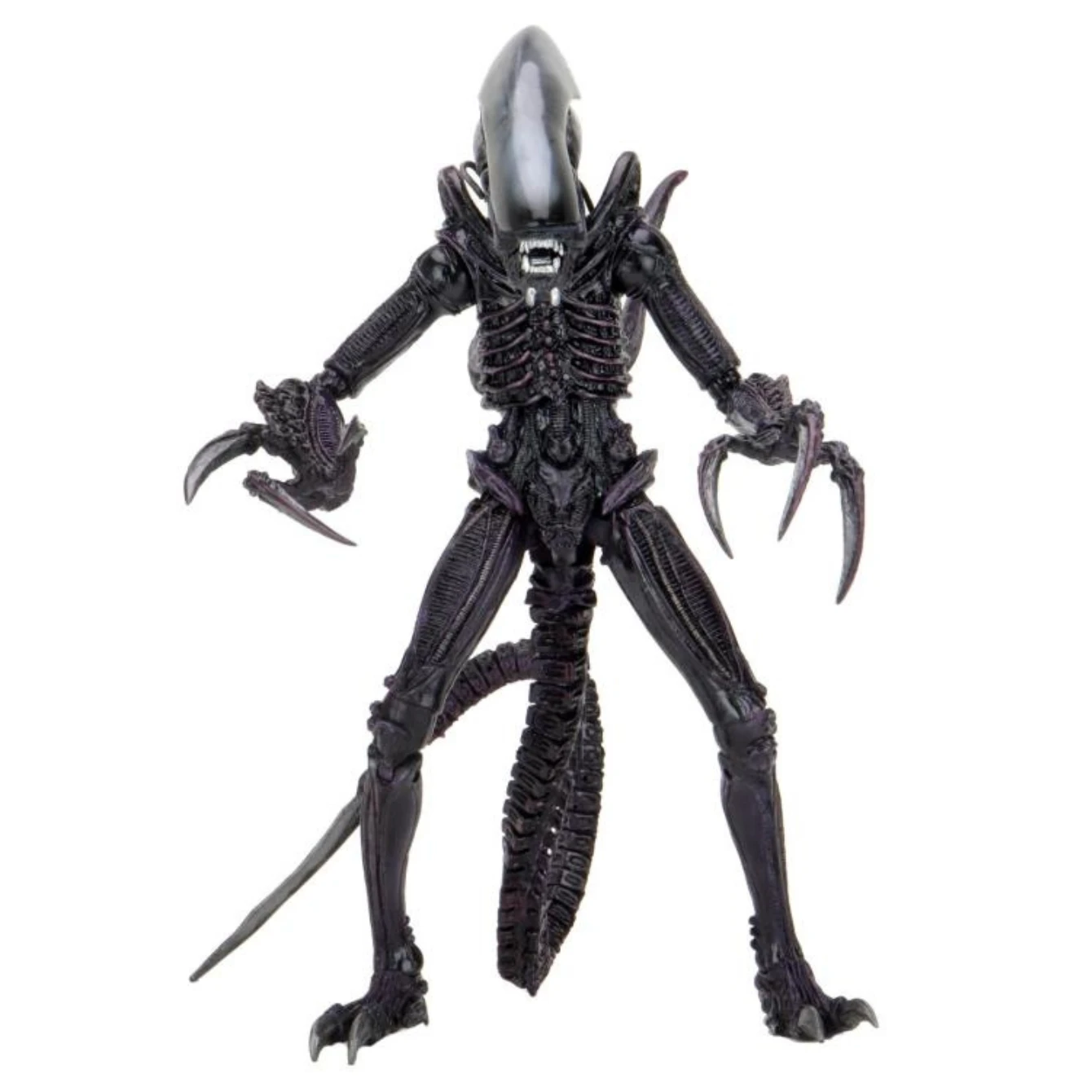 NECA Alien Vs. Predator Razor Claws (Movie Deco) Figure 1 NECA Alien Vs. Predator Razor Claws (Movie Deco) Figure