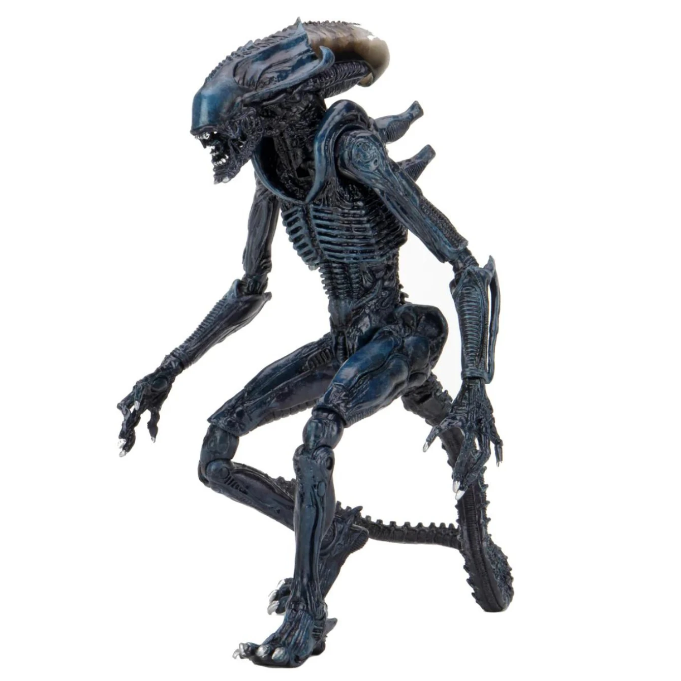 NECA Alien Vs. Predator Arachnoid (Movie Deco) Figure 1 NECA Alien Vs. Predator Arachnoid (Movie Deco) Figure