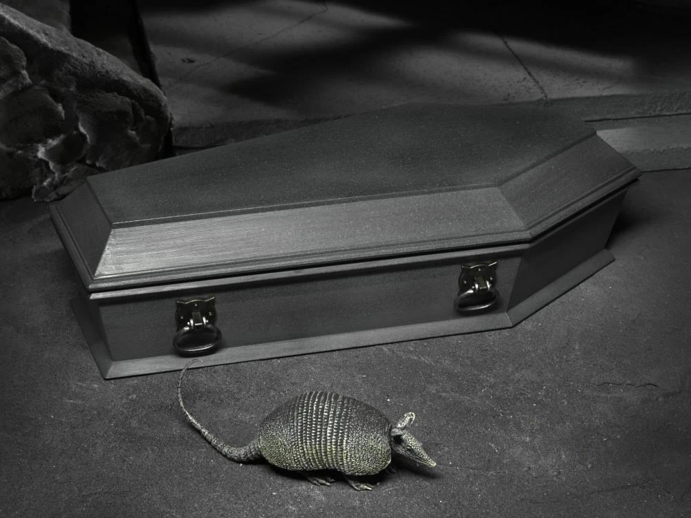 NECA Universal Monsters Dracula Accessory Set 3 NECA Universal Monsters Dracula Accessory Set - Image 3